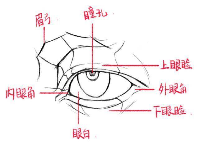 第十一篇:二次元眼睛的画法丨阿汤哥美术教程