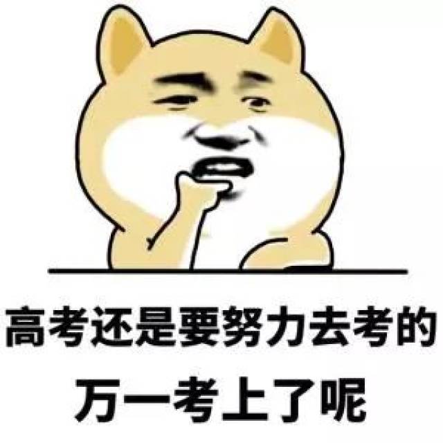 所有人,收好这套表情包…今年高考斗图就靠它了!传递