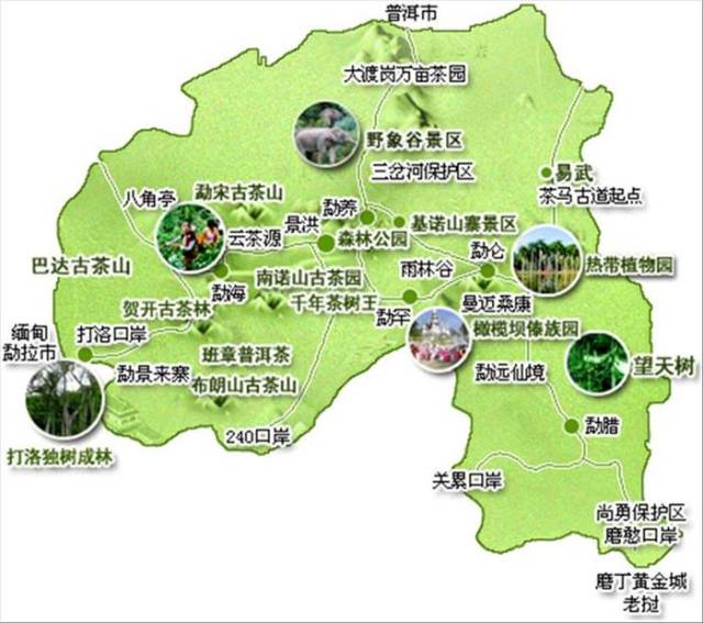 勐海特产「农产出云」