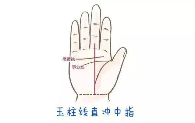 玉柱纹