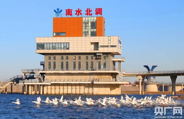 位于北京市房山区长阳镇大宁村北的大宁调蓄水库,经常吸引来白天鹅