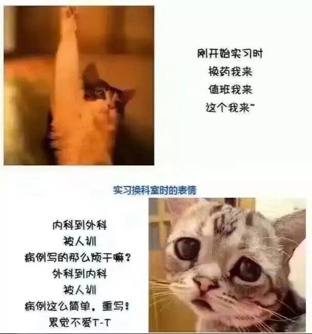 对不起,我变了