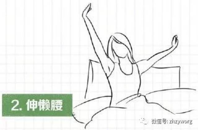 适当拉伸身体,比如做做伸懒腰的动作,有助于疏通经络,促进气血运行