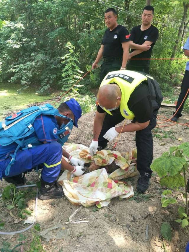 【郸城头条】宁平镇打捞溺水两岁半女童