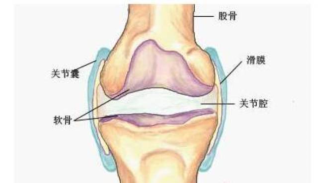 你知道膝关节滑膜炎是怎么回事吗?