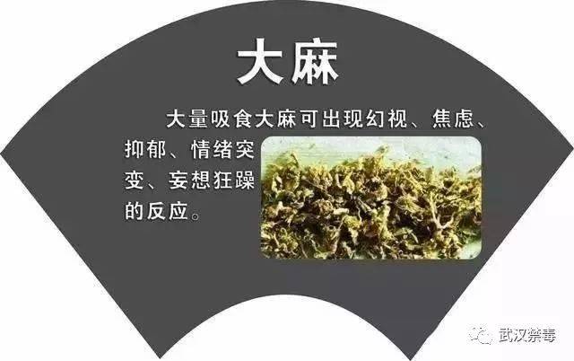 毒品知识【常见的毒品种类】