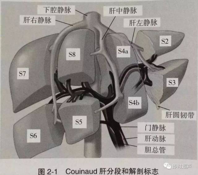 法国学者couinaud提出的肝脏解剖学分叶分段法,是目前临床上对肝的