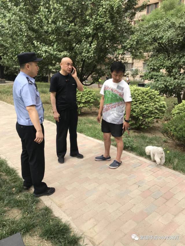 奥运村派出所集中办理养犬证工作通告!