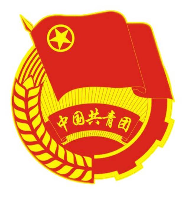 新时代 再起航 | 共青团曲靖供电局第二次代表大会胜利召开!