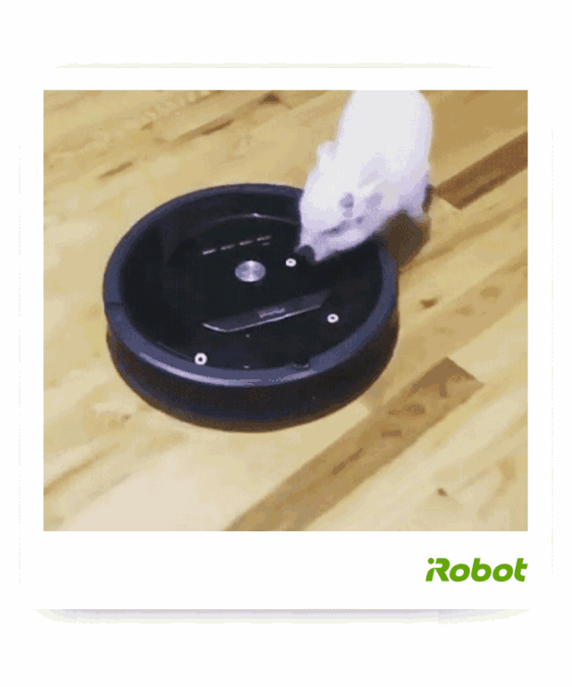 健之家 | irobot智囊团出击,搞定萌宠的理想家