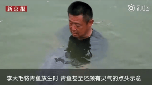 对此有网友也表示认同李大毛的做法,在大江大河你不打窝鱼饵凭什么咬