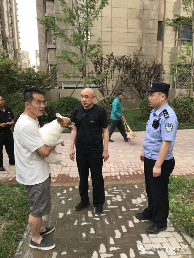 奥运村派出所集中办理养犬证工作通告!