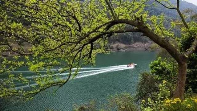 乐山周边游自驾游必选之地-旅游频道-手机搜狐