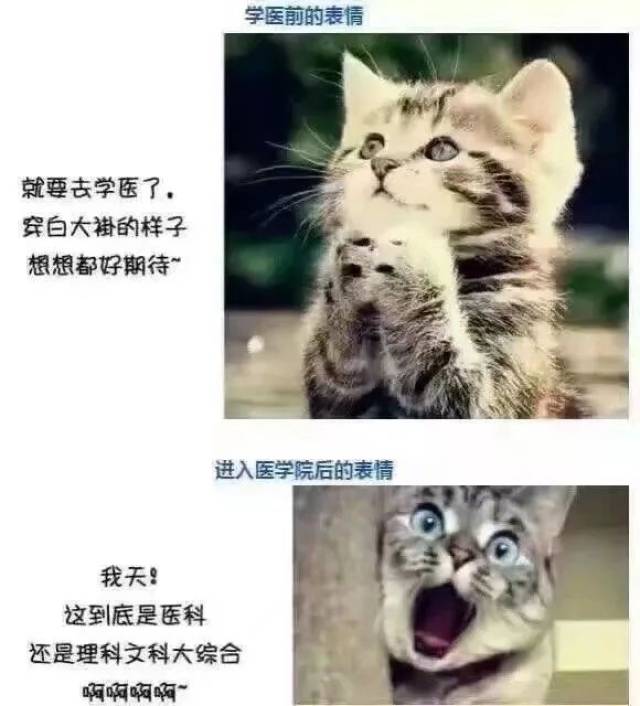 对不起,我变了