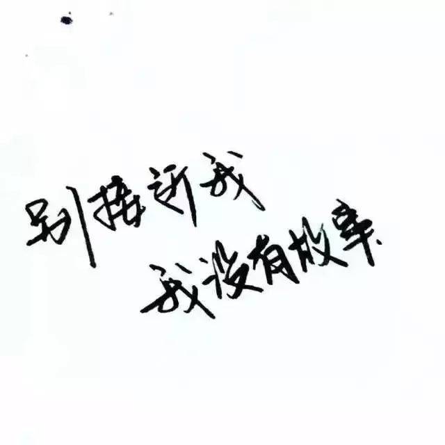 纯文字头像