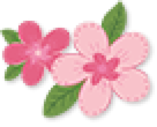 包头市社会服务联盟助力高考,更有主题演讲比赛等你来战~