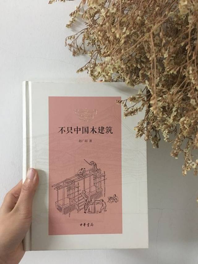 朱传荣:不止于此 | 写在《不只中国木建筑》