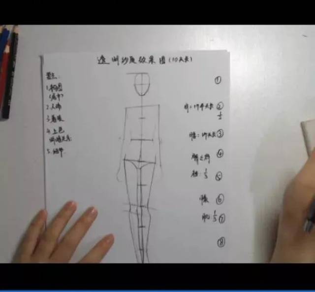 模特  后腿的画法与前腿不同,从臀部动态线画到膝盖动态线再稍稍往