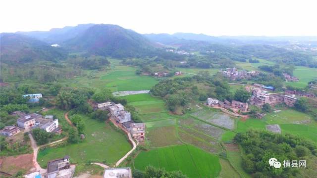 横县南乡这两个村,因此而出名