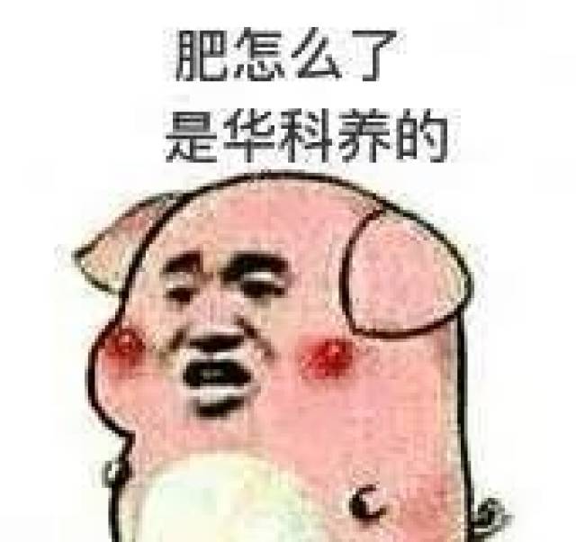 3f7b249418884b29ab3ac84aa3d2287f.jpeg