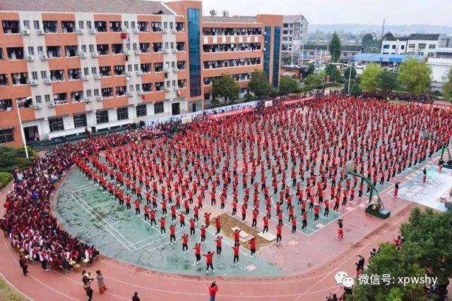 溆浦事|厉害了!这项工作被市人大常委会调研组集体点了赞!