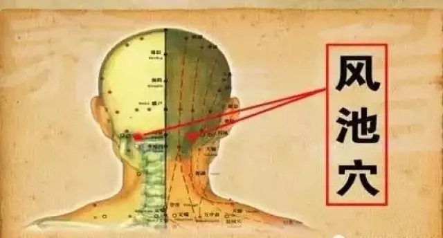 督脉总管着人体的阳气,风邪从风府侵入后