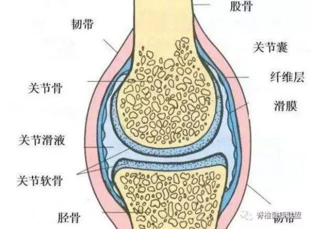 滑膜炎关节积液,一抽了之永绝后患吗?看看医生怎么解答