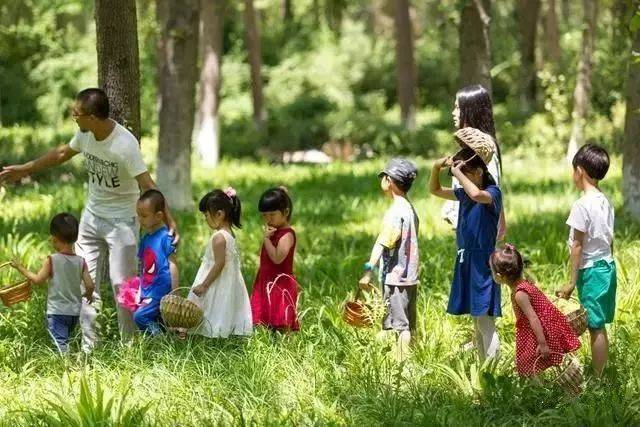 休闲农业:如何用文创点亮品牌?