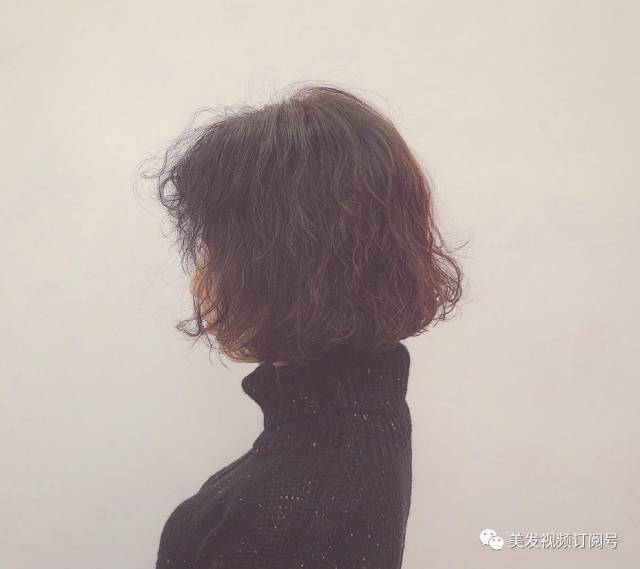 狗年流行"泰迪卷"