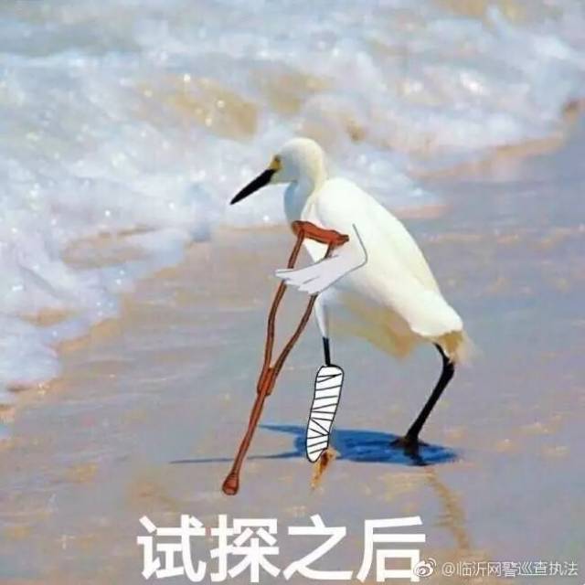 "临沂市政府门口发生枪击,我去拿枪…"临沂男子逞能被拘