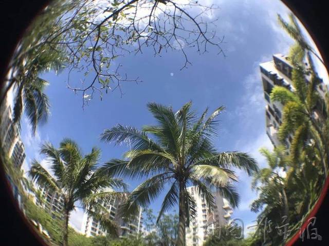 台风艾云尼走了,新台风马力斯生成!今明两天