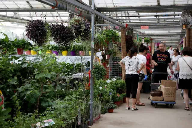 包括玉泉营花卉展销厅,海淀区西三旗通厦花卉市场,东风花卉批发市场