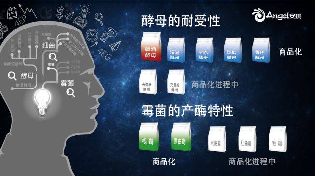 热点:多菌种纯种微生物技术将使白酒成世界饮料