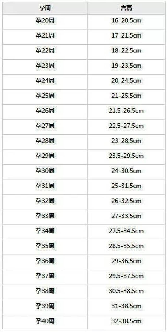 【产检常识】宫高腹围有啥用?为嘛每次都要查?