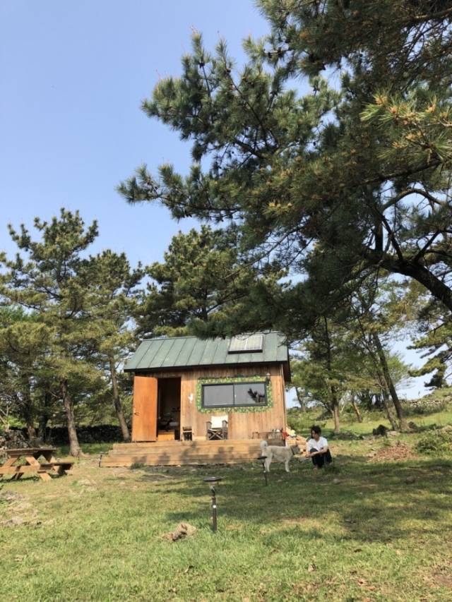 朴信惠《林中小屋》 特别 post和导演版的放送