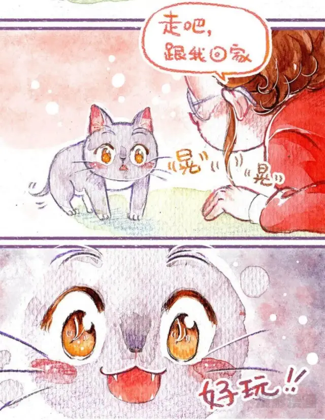 一起养只小猫吧!《怕丢日记》登陆漫影漫画app