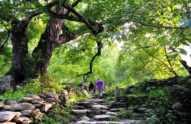 路线详情: 凤庆县—临翔区—双江县 凤庆县拥有丰富的旅游资源,以