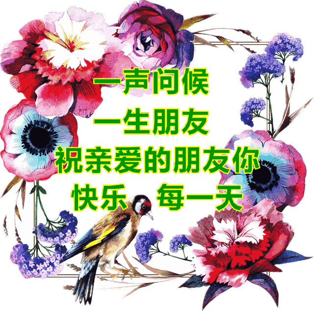 2018Ϻö̬ͼ ƯϺͼƬ̬ȫ