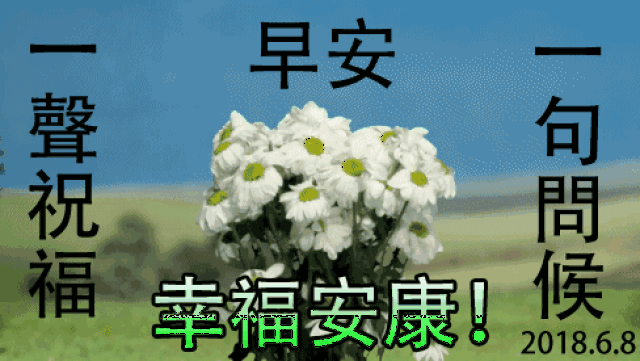 2019最新漂亮早晨好表情包 2019最美早上好动态图片表情