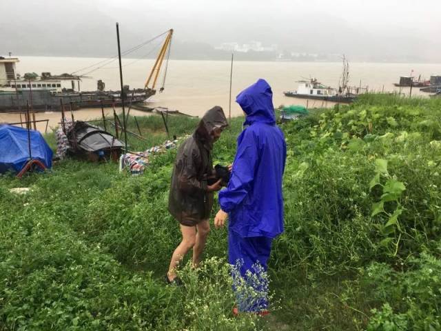 台风艾云尼引起强降雨:端州四大街道情况各不