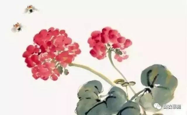 秋海棠,络纬