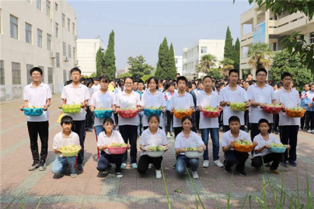 校园桃李季,文明硕果香 —— 盱眙县维桥中学举行校园