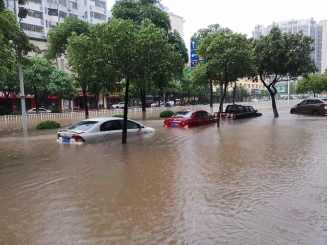 三水全城大水浸「威尼斯淼城」重现 但路上却充满了正能量.