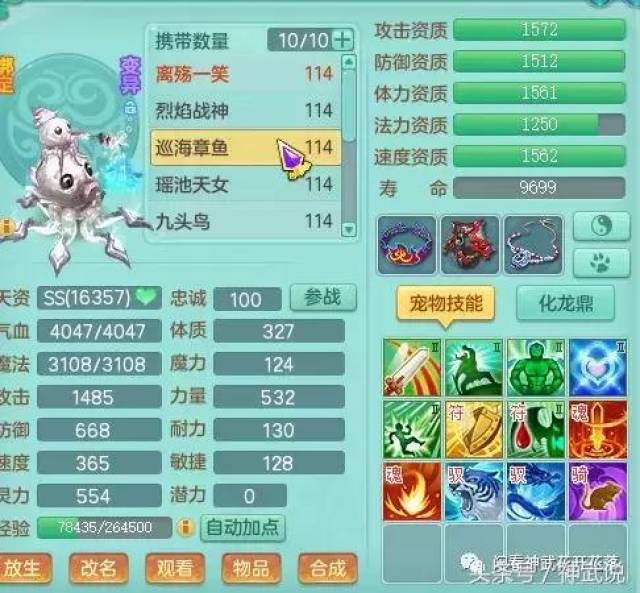 神武3最怕被加油109五庄,v鹦鹉最后一天仰望鹦鹉七彩多钱图片