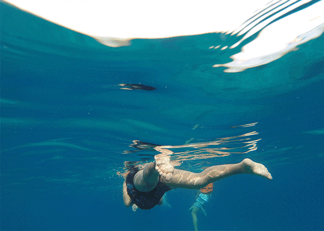 —拥有洁白细软的沙滩和非常优质的深潜体验 斯米兰——世界潜水圣地