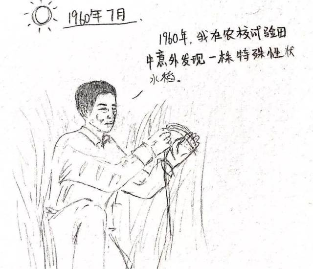 简笔画 手绘 线稿 640_550