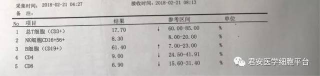 免疫球蛋白电泳