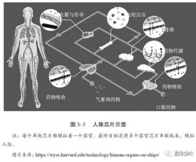 人体芯片的未来