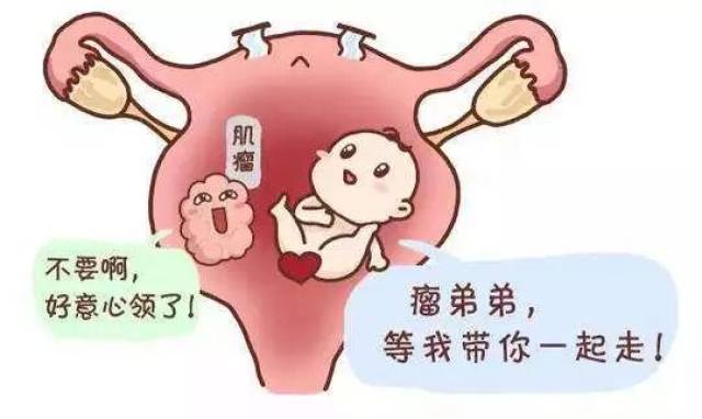 子宫肌瘤保险公司会拒保吗