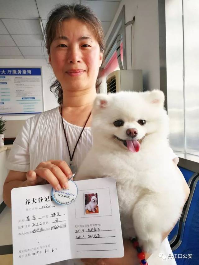 丹江口市第一张犬证发出,家有萌犬的你还在等什么